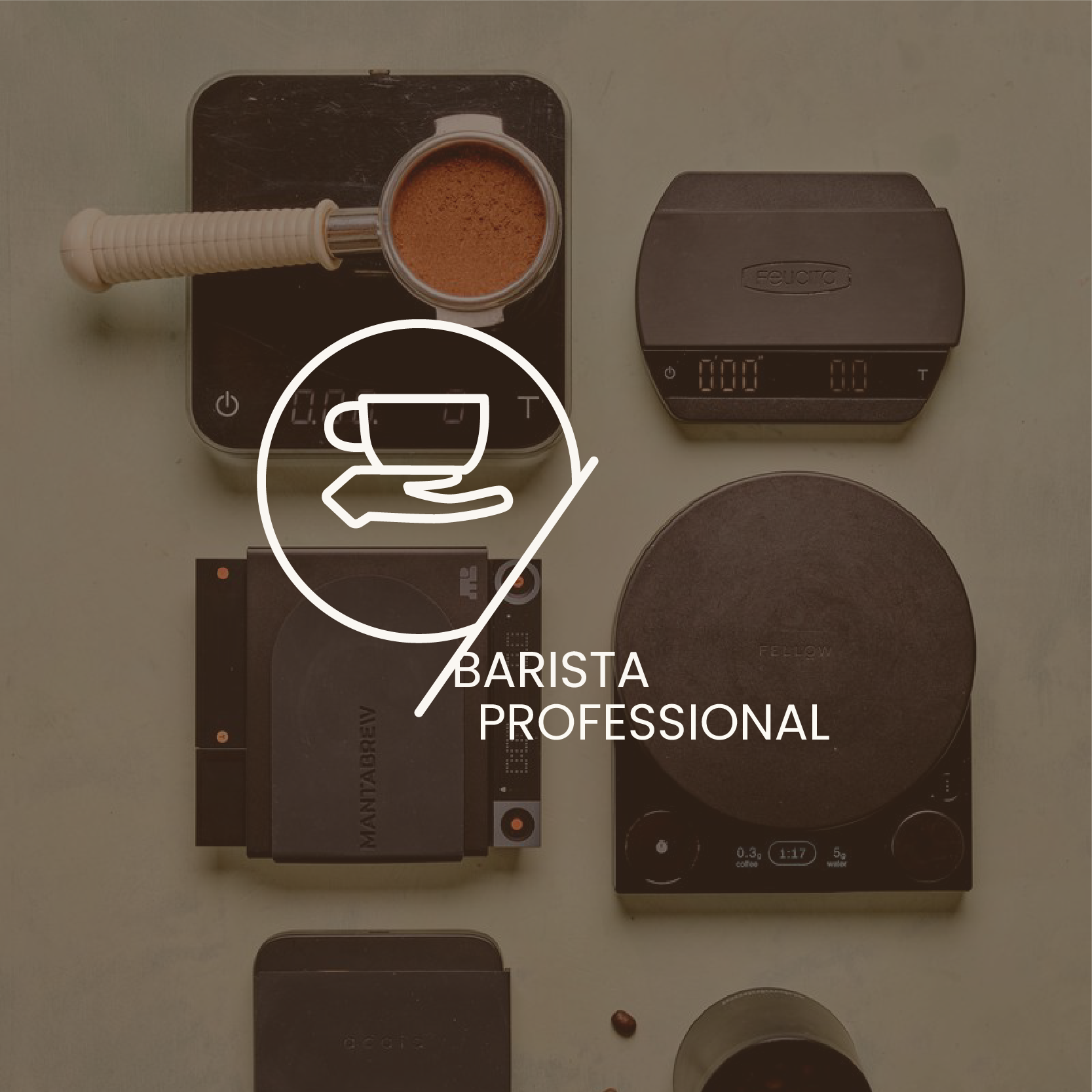 Barista Foundation
