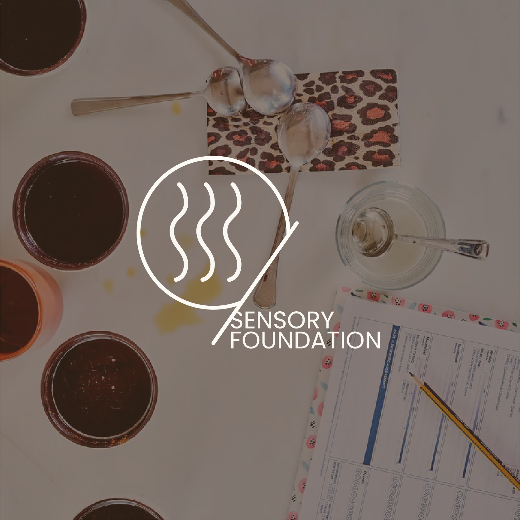 Sensory Foundation